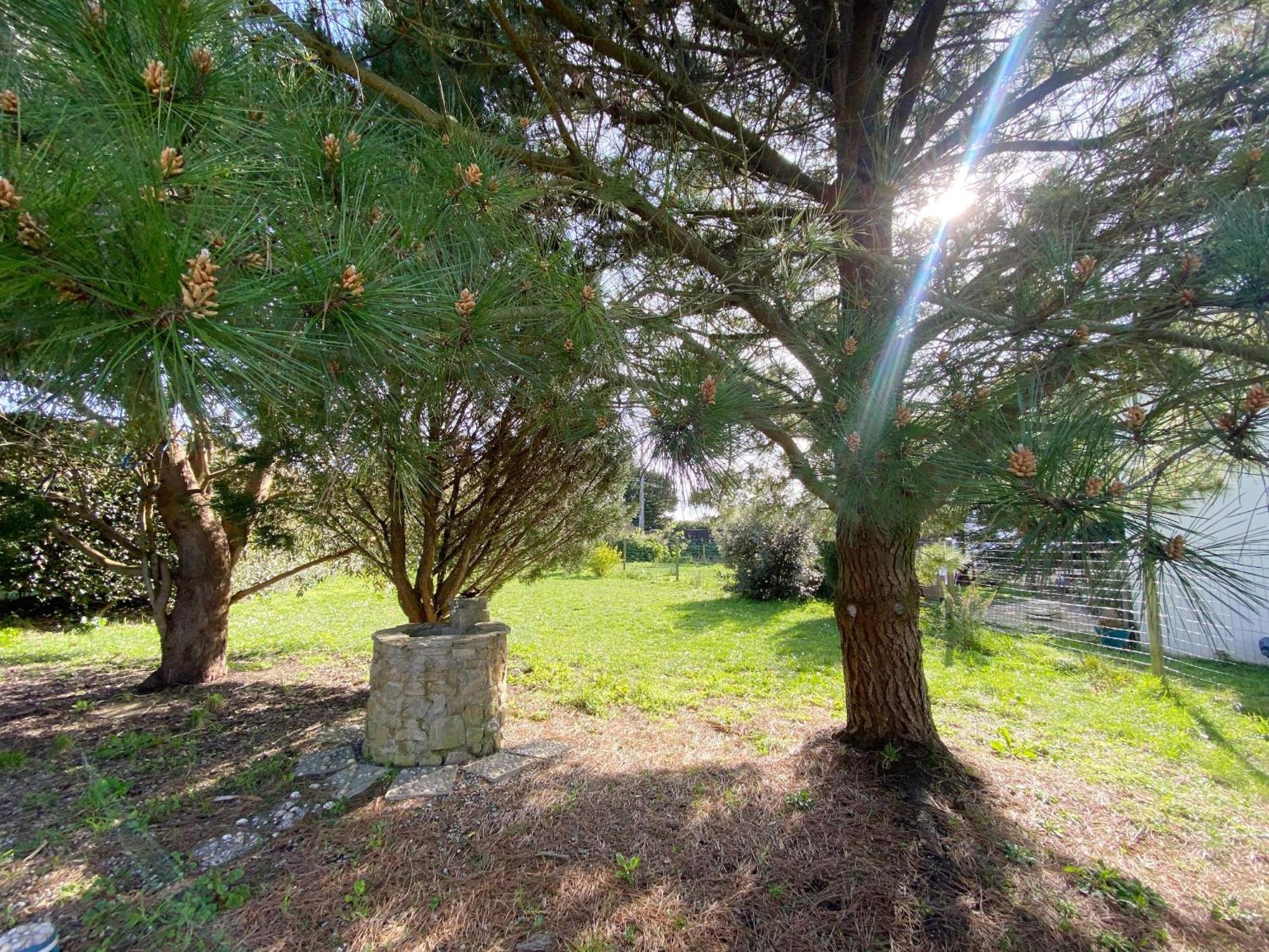 Er Blehua - 5 Pieces, Jardin, Sainte-Barbe - C58 Villa Plouharnel Exteriör bild
